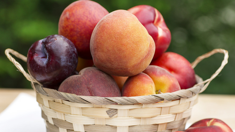 Peaches, plums, nectarines in a basket