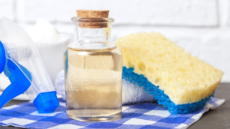 A glass bottle of apple cider vinegar and a cleaning sponge