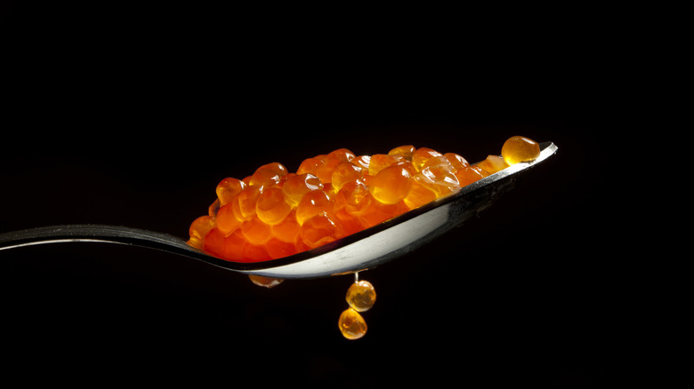 Red caviar on a spoon