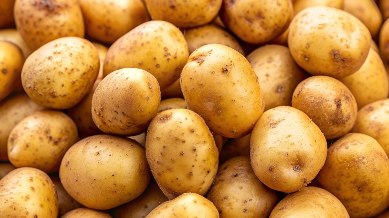 Yukon Gold potatoes