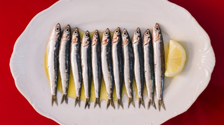 Sardines arranged in a row on a white plate with a wedge of lemon.