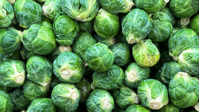 A lot of Brussels sprouts piled together