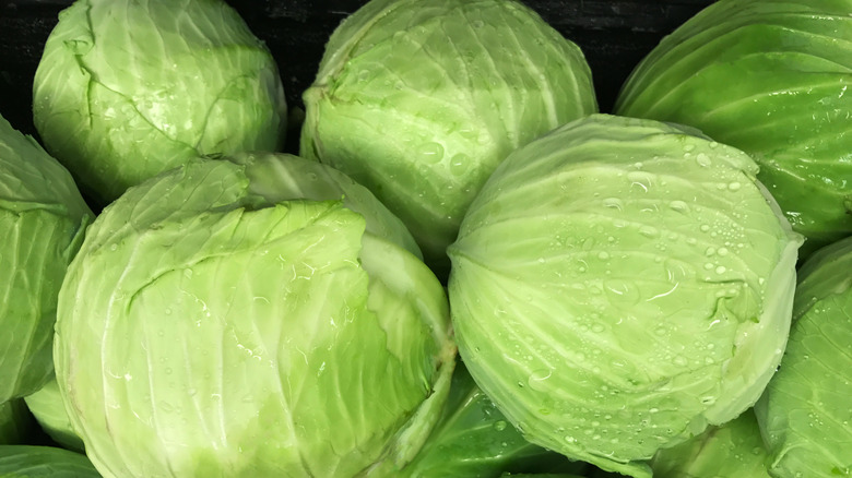 Heads of fresh green cabbages