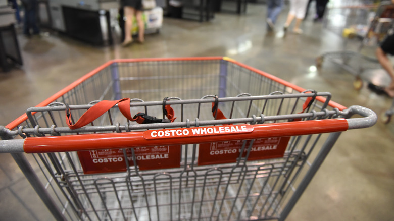 A costco wholesale branded shopping cart inside a store