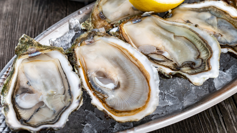 Shucked oysters on ice in a silver tray on a wooden table.