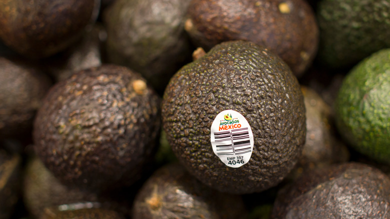 Avocados with PLU sticker