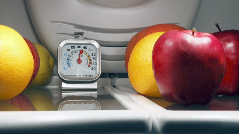 Thermometer in a refrigerator