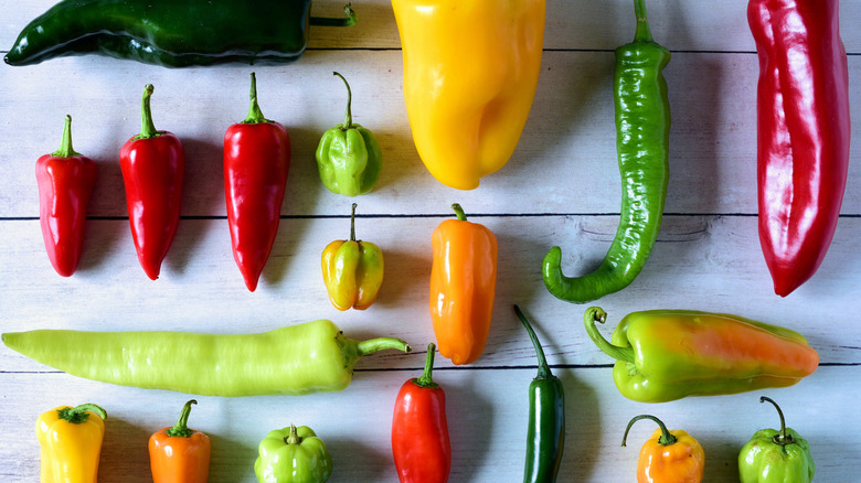 variety of peppers laid out on a table