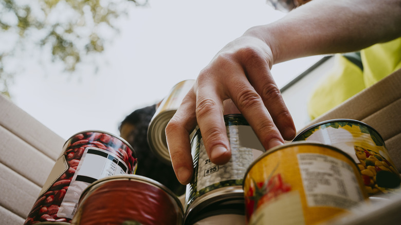 person packing various cans