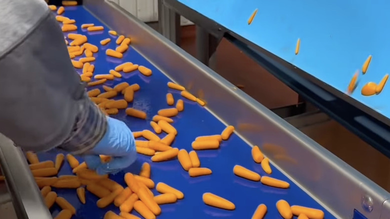 Baby carrots being processed