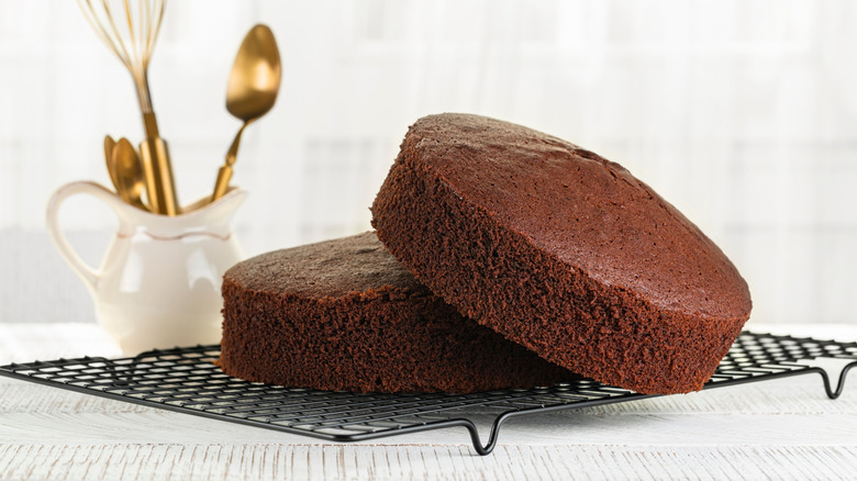 Two unfrosted chocolate cakes on a cooling rack.