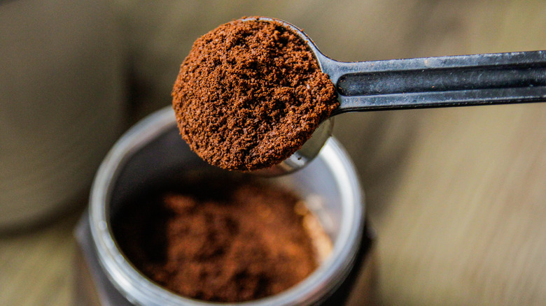 A spoon of coffee grounds