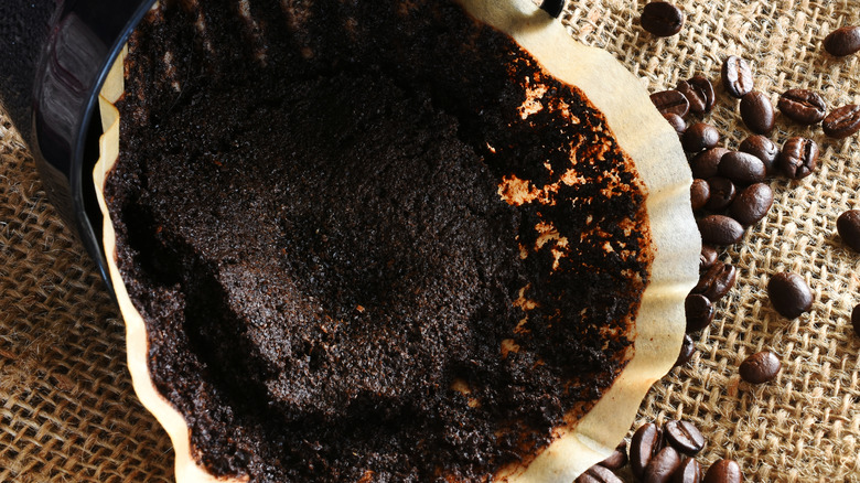 Used coffee grounds in coffee filter