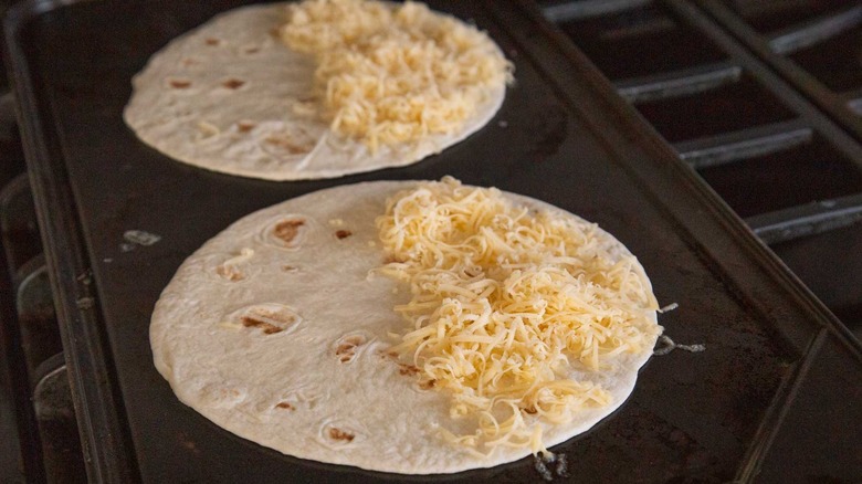 two flour tortillas with shredded cheese