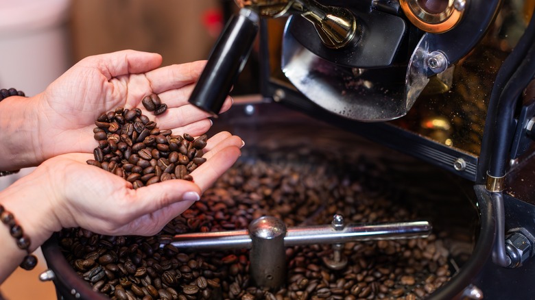 Hands holding coffee beans