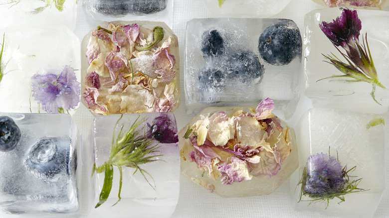 blueberries and flowers in ice