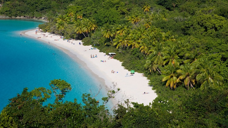 A beach in the U.S. Virgin Islands