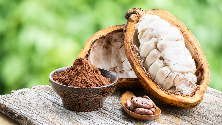 Cacao fruit cut in half, with powder, and beans