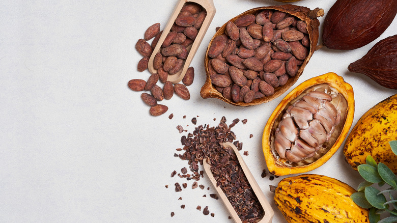 Cacao fruit, beans, and nibs