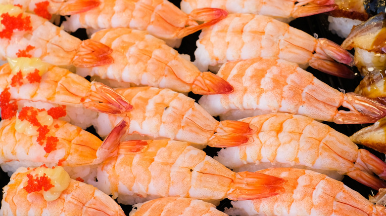 Rows of shrimp sushi are shown lined up together