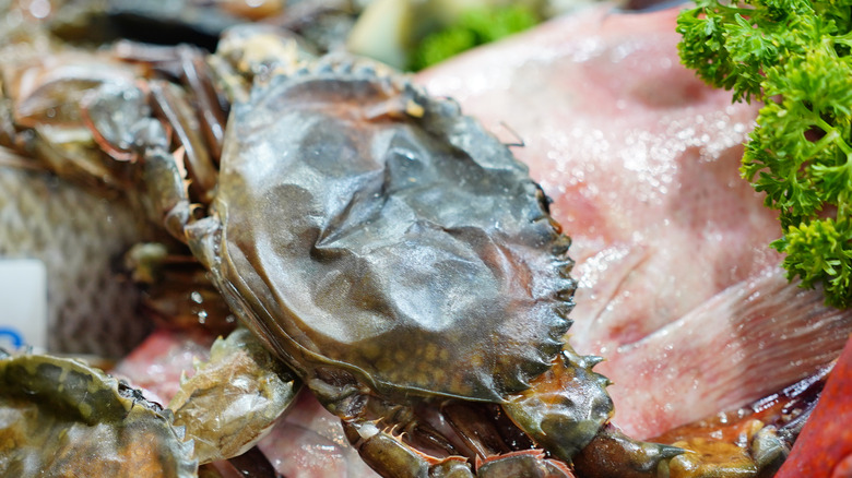 A raw soft shelled crab displayed at a fish counter