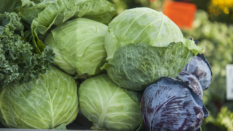 Heads of cabbage piled high