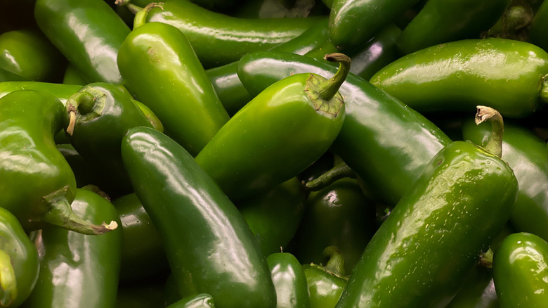 Close up of fresh whole jalapeños