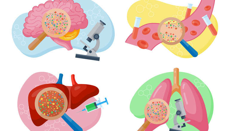 Animated image of microplastics inside various organs in the body