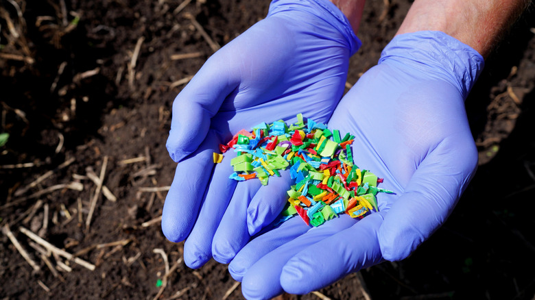 A person with blue latex gloves holding bits of colorful plastic in their palm