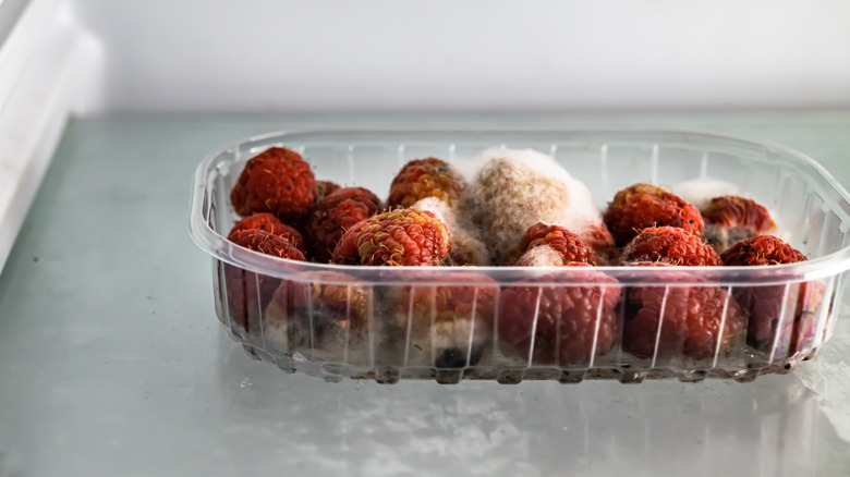 A package of moldy raspberries in a plastic container