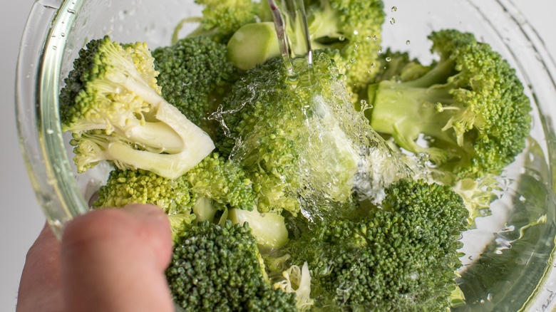 adding water to bowl of broccoli florets