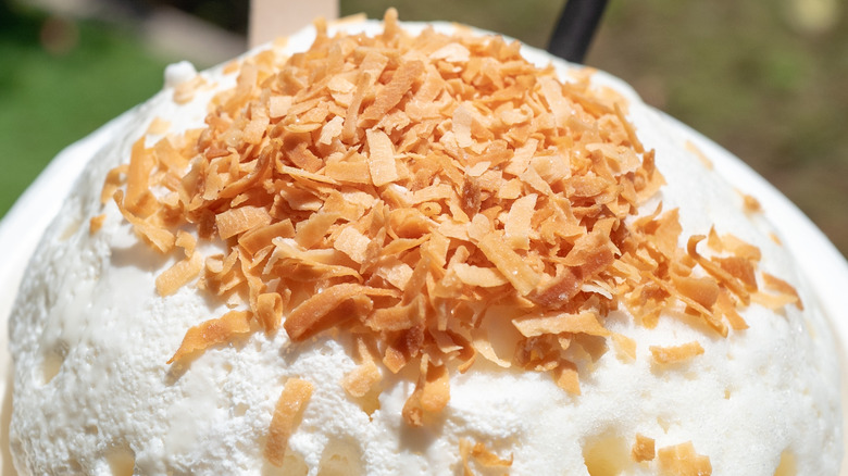 frozen dessert with toasted shredded coconut