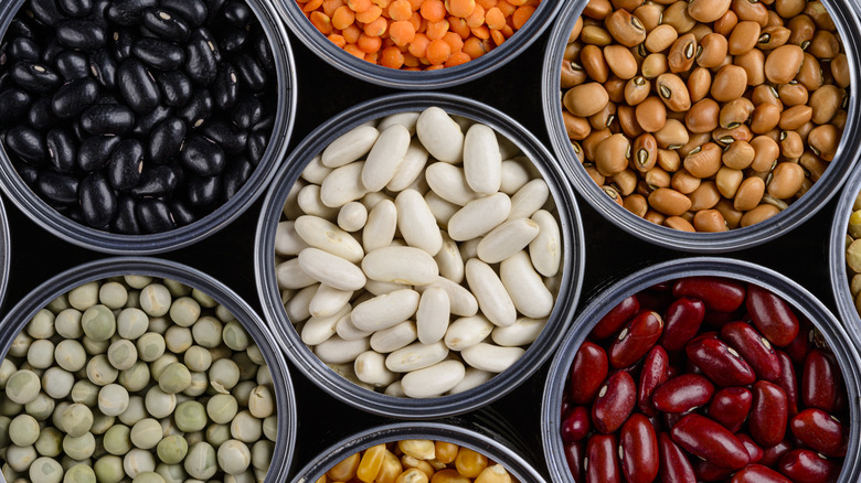 Cans of assorted bean varieties