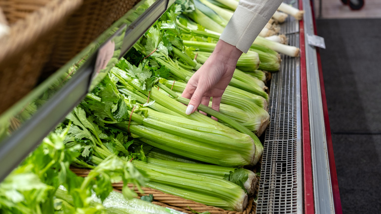 A person choosing fresh green celery in the super market