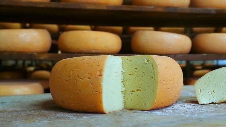 A wheel of Bethmale cheese.