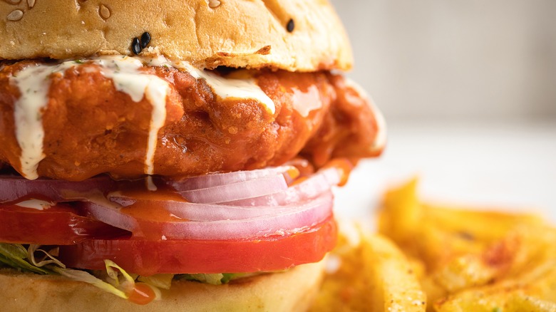 Buffalo chicken sandwich close up