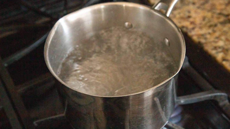 Boiling water in saucepan