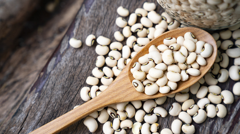 Dried beans on a spoon