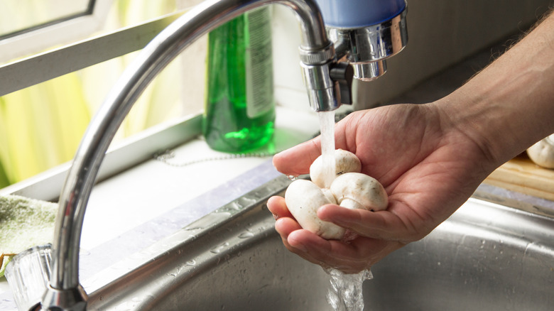 washing mushrooms in kitchen sink