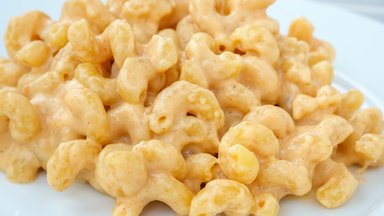 A plate of creamy macaroni and cheese