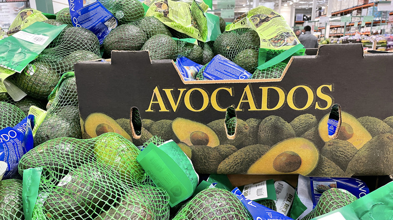 Costco bagged avocados