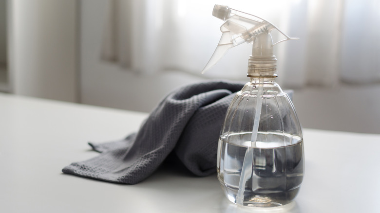 Spray bottle of water and vinegar solution