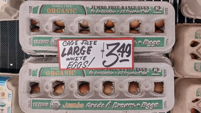 Two cartons of Trader Joe's eggs