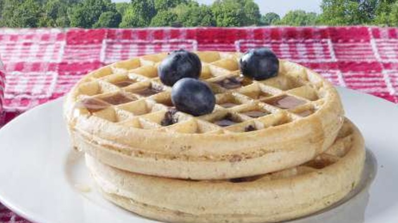 Eggo waffles with blueberries on a picnic blanket