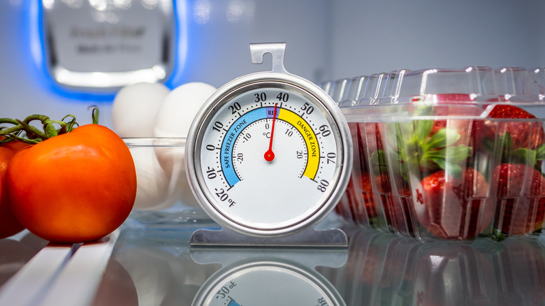 Thermometer in refrigerator