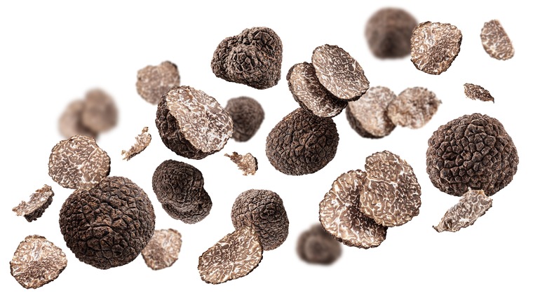 Floating black truffles on white background