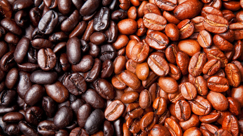 dark roast coffee beans next to light roast coffee beans