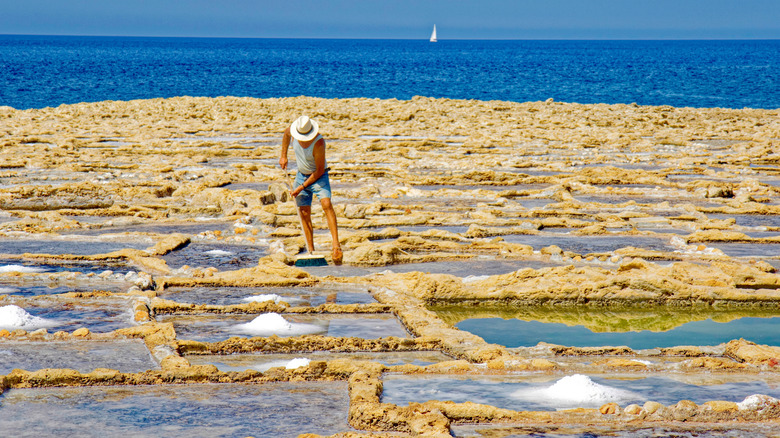 A worker harvesting salt from salt evaporation ponds with the ocean in the background