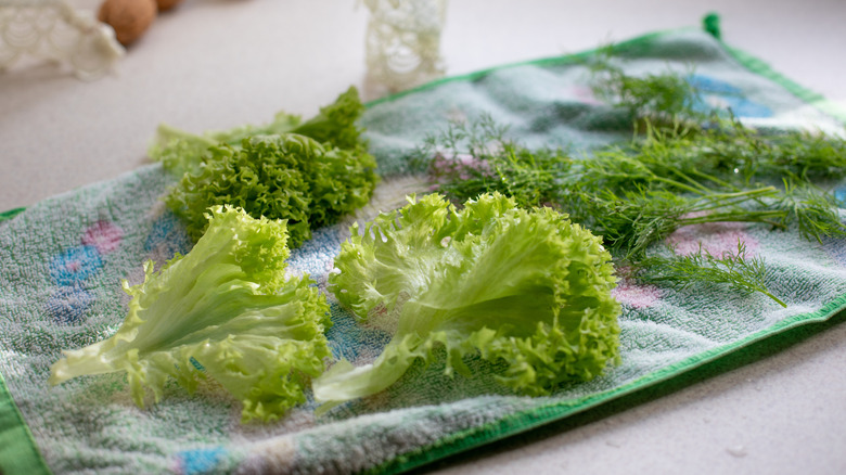 Leafy greens drying on a towel.