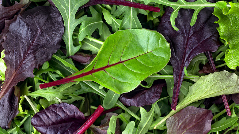 A mixture of dry salad greens.